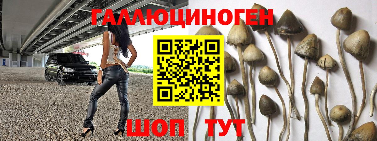 Псилоцибиновые грибы Magic Shrooms Реутов